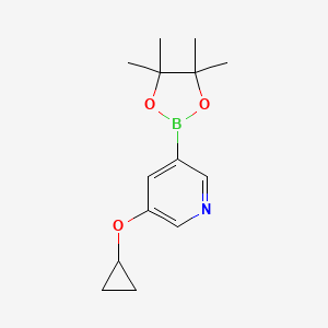 molecular formula C14H20BNO3 B6338288 5-Cyclopropoxypyridine-3-boronic acid pinacol ester, 95% CAS No. 2096341-47-6