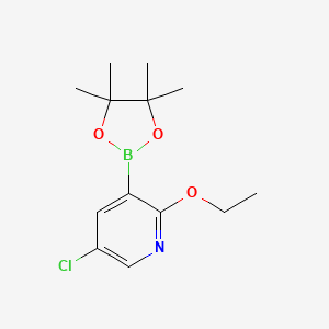 molecular formula C13H19BClNO3 B6338343 5-Chloro-2-ethoxypyridine-3-boronic acid pinacol ester CAS No. 2121511-53-1