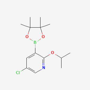 molecular formula C14H21BClNO3 B6338346 5-Chloro-2-isopropoxypyridine-3-boronic acid pinacol ester CAS No. 2121511-57-5