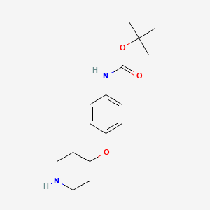 molecular formula C16H24N2O3 B6338952 4-(4-Boc-aminophenoxy)piperidine CAS No. 1820604-09-8