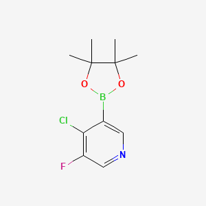 molecular formula C11H14BClFNO2 B6342679 4-Chloro-5-fluoropyridine-3-boronic acid pinacol ester CAS No. 2121513-37-7