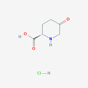 (S)-5-Oxopiperidine-2-carboxylic acid HCl