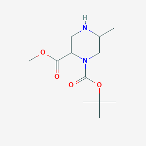 molecular formula C12H22N2O4 B6343190 O1-tert-Butyl O2-methyl 5-methylpiperazine-1,2-dicarboxylate CAS No. 1352719-64-2