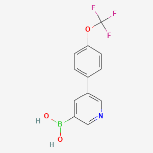 molecular formula C12H9BF3NO3 B6343588 3-[4-(Trifluoromethoxy)phenyl]-pyridine-5-boronic acid CAS No. 2121514-15-4