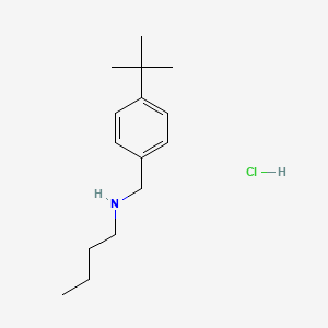 molecular formula C15H26ClN B6344084 盐酸丁基[(4-叔丁基苯基)甲基]胺 CAS No. 1240568-28-8