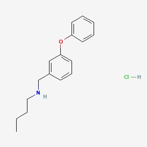 molecular formula C17H22ClNO B6344113 盐酸丁基[(3-苯氧基苯基)甲基]胺 CAS No. 1240568-32-4