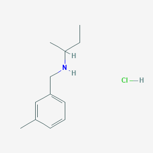 molecular formula C12H20ClN B6344239 (Butan-2-yl)[(3-methylphenyl)methyl]amine hydrochloride CAS No. 1240571-49-6