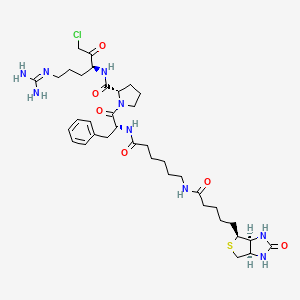 molecular formula C37H56ClN9O6S B6347064 生物素酰-ε-氨基己酰-D-苯丙氨酸-脯氨酸-精氨酸-氯甲基酮 CAS No. 131104-10-4