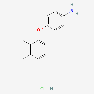 molecular formula C14H16ClNO B6350319 [4-(2,3-Dimethylphenoxy)phenyl]amine hydrochloride;  95% CAS No. 1158582-95-6