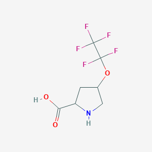 molecular formula C7H8F5NO3 B6350494 4-(Pentafluoroethoxy)pyrrolidine-2-carboxylic acid, 98% CAS No. 1301738-48-6