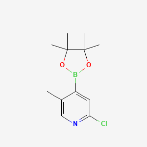 molecular formula C12H17BClNO2 B6351191 2-氯-5-甲基-4-(4,4,5,5-四甲基-1,3,2-二氧杂硼烷-2-基)吡啶 CAS No. 2377609-79-3