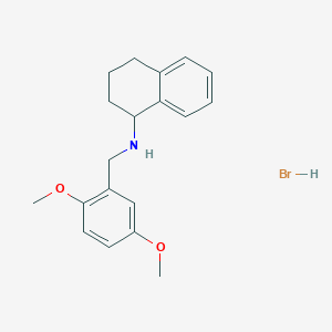 molecular formula C19H24BrNO2 B6352041 N-(2,5-Dimethoxybenzyl)-1,2,3,4-tetrahydro-1-naphthalenamine hydrobromide;  95% CAS No. 1609403-40-8