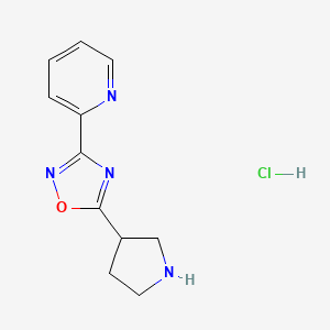 molecular formula C11H13ClN4O B6354411 2-(5-Pyrrolidin-3-yl-1,2,4-oxadiazol-3-yl)pyridine dihydrochloride CAS No. 2323067-18-9