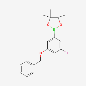 molecular formula C19H22BFO3 B6355724 5-苯甲氧基-3-氟苯硼酸二茂环己酯，96% CAS No. 1528757-88-1