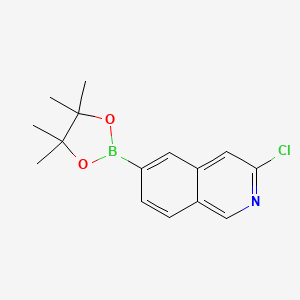 molecular formula C15H17BClNO2 B6357718 (3-氯异喹啉-6-基)硼酸二缩水甘醇酯 CAS No. 1509899-50-6