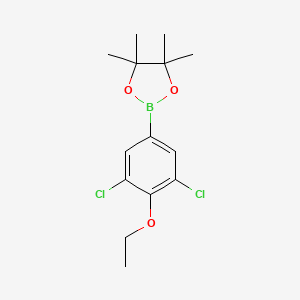 molecular formula C14H19BCl2O3 B6358091 2-(3,5-Dichloro-4-ethoxyphenyl)-4,4,5,5-tetramethyl-1,3,2-dioxaborolane CAS No. 1320397-14-5