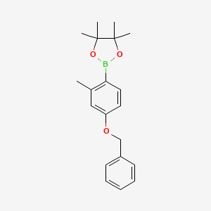 molecular formula C20H25BO3 B6358189 2-(4-(Benzyloxy)-2-methylphenyl)-4,4,5,5-tetramethyl-1,3,2-dioxaborolane CAS No. 1609259-46-2