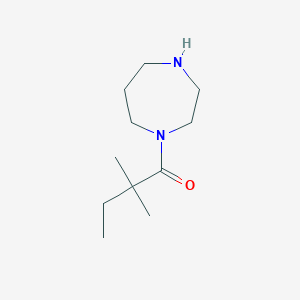 molecular formula C11H22N2O B6362614 1-(1,4-Diazepan-1-yl)-2,2-dimethylbutan-1-one CAS No. 1240564-63-9
