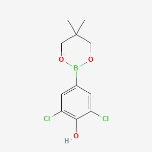molecular formula C11H13BCl2O3 B6363083 2,6-Dichloro-4-(5,5-dimethyl-1,3,2-dioxaborinan-2-yl)phenol CAS No. 1574340-13-8