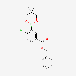 molecular formula C19H20BClO4 B6363123 Benzyl 4-chloro-3-(5,5-dimethyl-1,3,2-dioxaborinan-2-yl)benzoate CAS No. 2096997-42-9