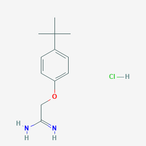 molecular formula C12H19ClN2O B064161 2-(4-叔丁基苯氧基)乙酰胺盐酸盐 CAS No. 175277-47-1