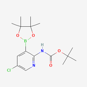 Boc-2-Amino-5-chloropyridine-3-boronic acid pinacol ester
