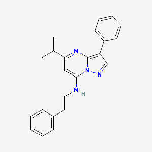 molecular formula C23H24N4 B6420695 3-phenyl-N-(2-phenylethyl)-5-(propan-2-yl)pyrazolo[1,5-a]pyrimidin-7-amine CAS No. 890628-94-1