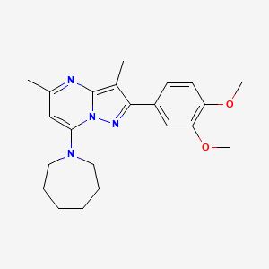 molecular formula C22H28N4O2 B6422646 1-[2-(3,4-dimethoxyphenyl)-3,5-dimethylpyrazolo[1,5-a]pyrimidin-7-yl]azepane CAS No. 1015543-17-5