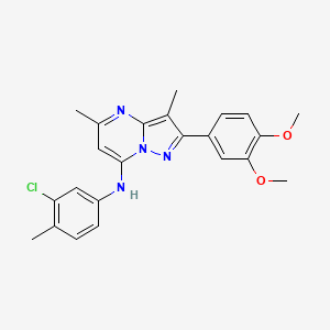 molecular formula C23H23ClN4O2 B6422756 N-(3-chloro-4-methylphenyl)-2-(3,4-dimethoxyphenyl)-3,5-dimethylpyrazolo[1,5-a]pyrimidin-7-amine CAS No. 1015597-38-2