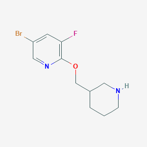 molecular formula C11H14BrFN2O B6423812 5-bromo-3-fluoro-2-[(piperidin-3-yl)methoxy]pyridine CAS No. 1289007-54-0