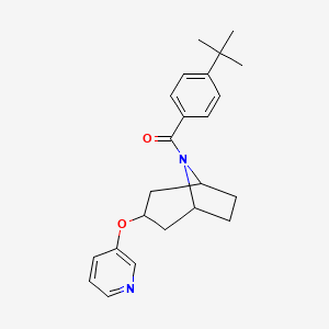 molecular formula C23H28N2O2 B6424687 8-(4-tert-butylbenzoyl)-3-(pyridin-3-yloxy)-8-azabicyclo[3.2.1]octane CAS No. 2108442-61-9