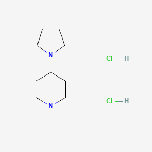 molecular formula C10H22Cl2N2 B6425644 1-methyl-4-(pyrrolidin-1-yl)piperidine dihydrochloride CAS No. 103755-75-5