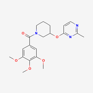molecular formula C20H25N3O5 B6428241 2-methyl-4-{[1-(3,4,5-trimethoxybenzoyl)piperidin-3-yl]oxy}pyrimidine CAS No. 2034560-68-2
