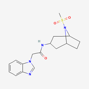 molecular formula C17H22N4O3S B6429511 2-(1H-1,3-benzodiazol-1-yl)-N-{8-methanesulfonyl-8-azabicyclo[3.2.1]octan-3-yl}acetamide CAS No. 2034304-64-6