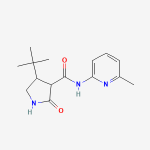 4-tert-butyl-N-(6-methylpyridin-2-yl)-2-oxopyrrolidine-3-carboxamide