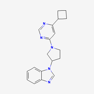 molecular formula C19H21N5 B6430201 1-[1-(6-cyclobutylpyrimidin-4-yl)pyrrolidin-3-yl]-1H-1,3-benzodiazole CAS No. 2097937-09-0