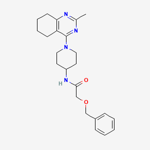 2-(benzyloxy)-N-[1-(2-methyl-5,6,7,8-tetrahydroquinazolin-4-yl)piperidin-4-yl]acetamide