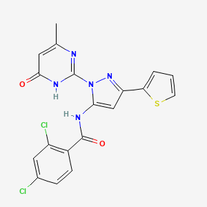 2,4-dichloro-N-[1-(4-methyl-6-oxo-1,6-dihydropyrimidin-2-yl)-3-(thiophen-2-yl)-1H-pyrazol-5-yl]benzamide