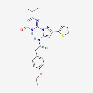 molecular formula C24H25N5O3S B6433676 2-(4-ethoxyphenyl)-N-{1-[6-oxo-4-(propan-2-yl)-1,6-dihydropyrimidin-2-yl]-3-(thiophen-2-yl)-1H-pyrazol-5-yl}acetamide CAS No. 1171550-30-3