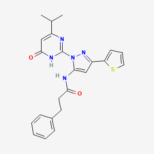 molecular formula C23H23N5O2S B6433688 N-{1-[6-oxo-4-(propan-2-yl)-1,6-dihydropyrimidin-2-yl]-3-(thiophen-2-yl)-1H-pyrazol-5-yl}-3-phenylpropanamide CAS No. 1172045-38-3