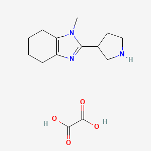 molecular formula C14H21N3O4 B6434814 1-methyl-2-(pyrrolidin-3-yl)-4,5,6,7-tetrahydro-1H-1,3-benzodiazole; oxalic acid CAS No. 2549038-40-4
