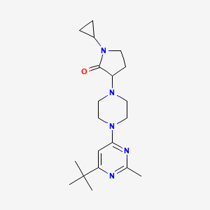 3-[4-(6-tert-butyl-2-methylpyrimidin-4-yl)piperazin-1-yl]-1-cyclopropylpyrrolidin-2-one