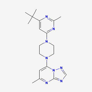 molecular formula C19H26N8 B6435802 4-tert-butyl-2-methyl-6-(4-{5-methyl-[1,2,4]triazolo[1,5-a]pyrimidin-7-yl}piperazin-1-yl)pyrimidine CAS No. 2549051-29-6