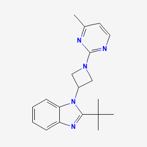 molecular formula C19H23N5 B6436440 2-tert-butyl-1-[1-(4-methylpyrimidin-2-yl)azetidin-3-yl]-1H-1,3-benzodiazole CAS No. 2549029-69-6