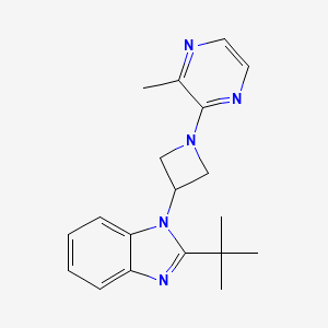molecular formula C19H23N5 B6436442 2-tert-butyl-1-[1-(3-methylpyrazin-2-yl)azetidin-3-yl]-1H-1,3-benzodiazole CAS No. 2549039-40-7