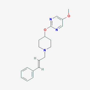 molecular formula C19H23N3O2 B6438751 5-methoxy-2-({1-[(2E)-3-phenylprop-2-en-1-yl]piperidin-4-yl}oxy)pyrimidine CAS No. 2549133-16-4
