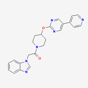 molecular formula C23H22N6O2 B6441192 2-(1H-1,3-benzodiazol-1-yl)-1-(4-{[5-(pyridin-4-yl)pyrimidin-2-yl]oxy}piperidin-1-yl)ethan-1-one CAS No. 2548984-00-3