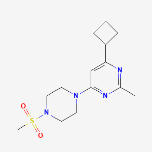 molecular formula C14H22N4O2S B6441767 4-cyclobutyl-6-(4-methanesulfonylpiperazin-1-yl)-2-methylpyrimidine CAS No. 2549008-83-3