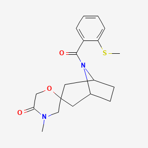 molecular formula C19H24N2O3S B6441787 4'-methyl-8-[2-(methylsulfanyl)benzoyl]-8-azaspiro[bicyclo[3.2.1]octane-3,2'-morpholin]-5'-one CAS No. 2640814-81-7