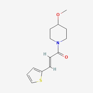 (E)-1-(4-methoxypiperidin-1-yl)-3-(thiophen-2-yl)prop-2-en-1-one